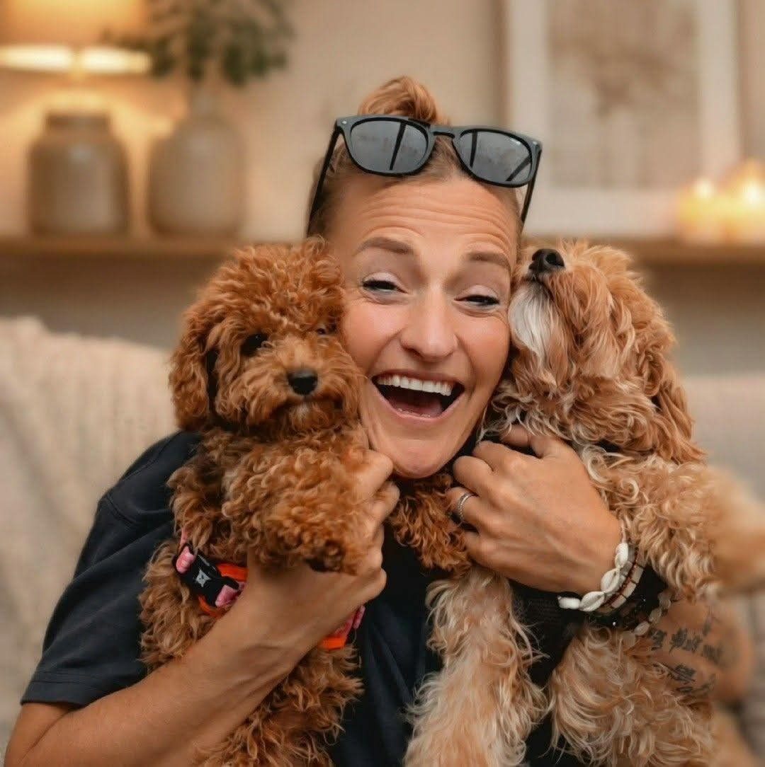 Knuffelmoment met twee hondjes bij Kleine Pootjes